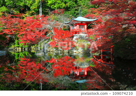 [Kyoto Prefecture] Symmetrical autumn leaves at Daigoji Temple (Benten Pond, Benten Bridge, and Bentendo) 109074210