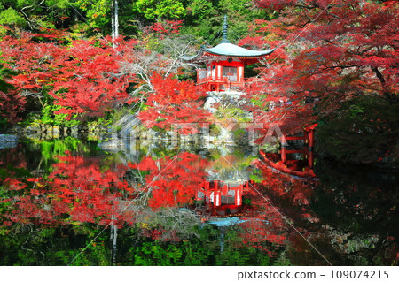 [Kyoto Prefecture] Symmetrical autumn leaves at Daigoji Temple (Benten Pond, Benten Bridge, and Bentendo) 109074215