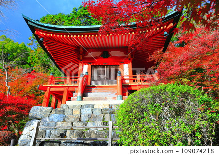 [京都府] 晴天醍醐寺弁天堂的紅葉 109074218