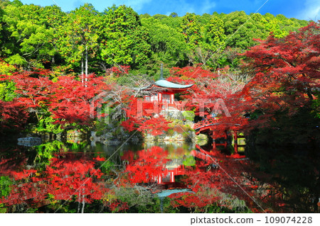 [京都府]醍醐寺對稱的紅葉（弁天池、弁天橋、弁天堂） 109074228