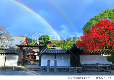 [京都府]醍醐寺三寶院庭園的紅葉與彩虹 109074263