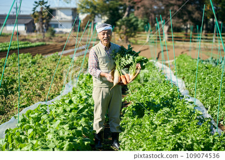 Farmer man holding crops 109074536