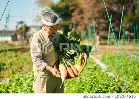 Farmer man holding crops 109074630