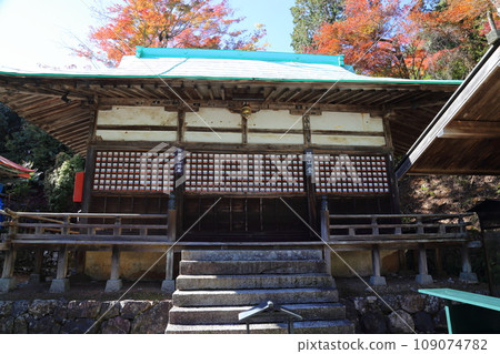 Katsuoji Temple, November [Mino City, Osaka Prefecture/Saigoku Sanjusansho No. 23] 109074782