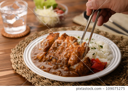 Everyone loves cutlet curry 109075275