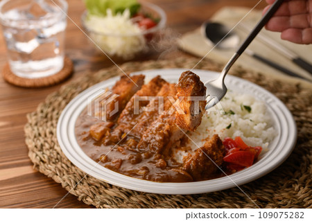 每個人都喜歡炸肉排咖哩 每個人都喜歡炸肉排咖哩 109075282