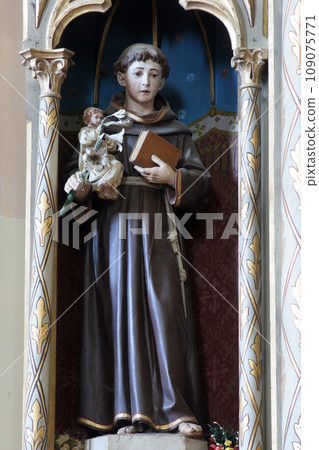 Saint Anthony of Padua, statue on the altar of the Sacred Heart of Jesus in the church of the Saint Maximilian in Posavski Bregi, Croatia Saint Anthony of Padua, statue on the altar of the Sacred Heart of Jesus in the church of the Saint Maximilian in Posavski Bregi, Croatia 109075771