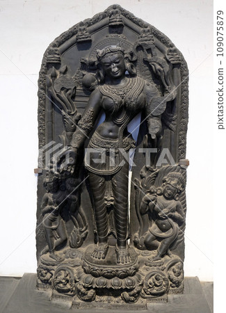 Khadiravani Tara, from 10th century found in Basalt, Bihar now exposed in the Indian Museum Kolkata, West Bengal, India Khadiravani Tara, from 10th century found in Basalt, Bihar now exposed in the Indian Museum Kolkata, West Bengal, India 109075879