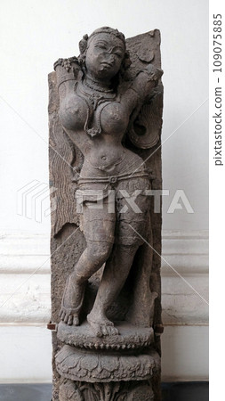 Salabhanjika, from 13th century found in Khondalite Konark, Odisha now exposed in the Indian Museum in Kolkata, West Bengal, India 109075885