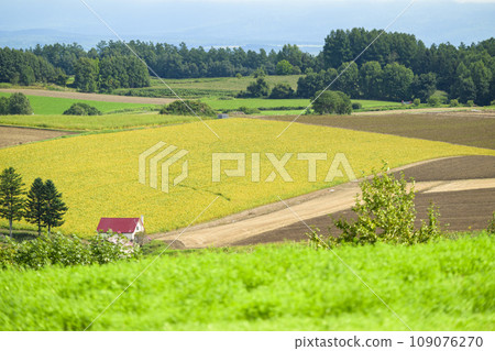 北海道美瑛「信榮之丘展望公園」的景色 109076270