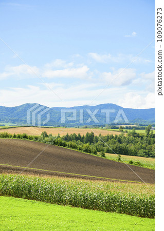 北海道美瑛「信榮之丘展望公園」的景色 109076273