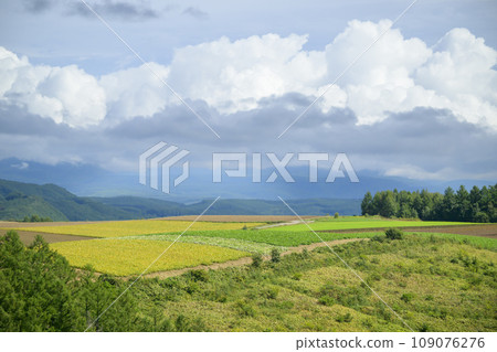 The view from “San-ai no Oka Observation Park” in Biei, Hokkaido 109076276