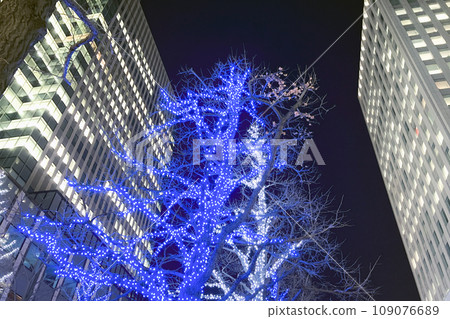Sapporo White Illumination, Red Brick Square, Chuo Ward, Sapporo City (Light-up) Sapporo White Illumination, Red Brick Square, Chuo Ward, Sapporo City (Light-up) 109076689
