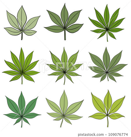 Simplicity cannabis leaf freehand drawing flat design collection. Simplicity cannabis leaf freehand drawing flat design collection. 109076774