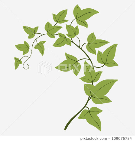 Floral ivy drawing decorative ornament flat design. Floral ivy drawing decorative ornament flat design. 109076784