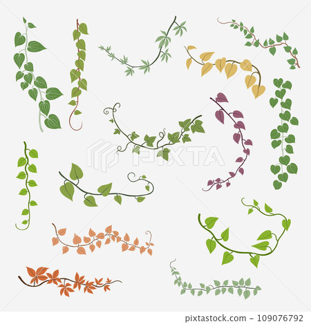 Floral ivy drawing decorative ornament flat design collection. Floral ivy drawing decorative ornament flat design collection. 109076792