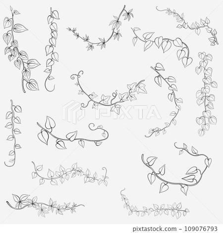 Floral ivy drawing decorative ornament flat design collection. 109076793