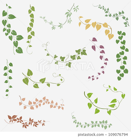 Floral ivy drawing decorative ornament flat design collection. Floral ivy drawing decorative ornament flat design collection. 109076794