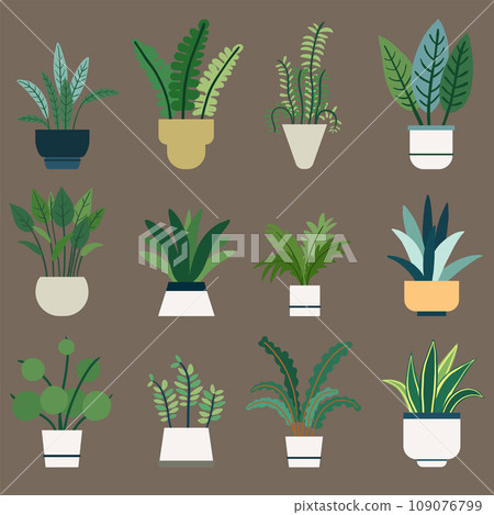 Minimal interior houseplant simplicity freehand drawing flat design. 109076799