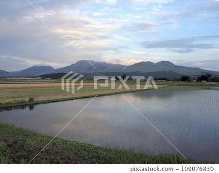 熊本縣阿蘇市牧木，隔著田野眺望傍晚的阿蘇五山 109076830