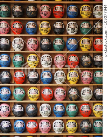 群馬縣是達摩的產地。 109077944