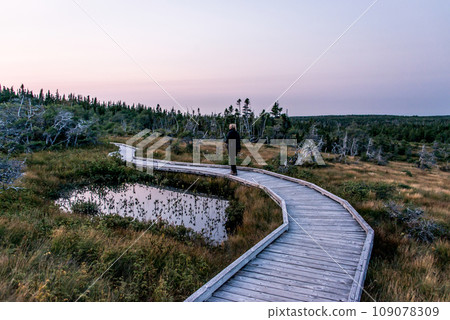 Girl hiking outdoor wooden trail mooreland Cape Breton Island Coast Nova Scotia Highlands Canada 109078309