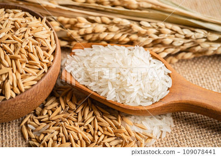 Jasmine white rice with gold grain from agriculture farm. Jasmine white rice with gold grain from agriculture farm. 109078441