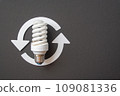 Energy saving light bulb on a black background 109081336