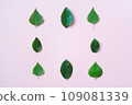 green leaves square frame banner top view on pink 109081339