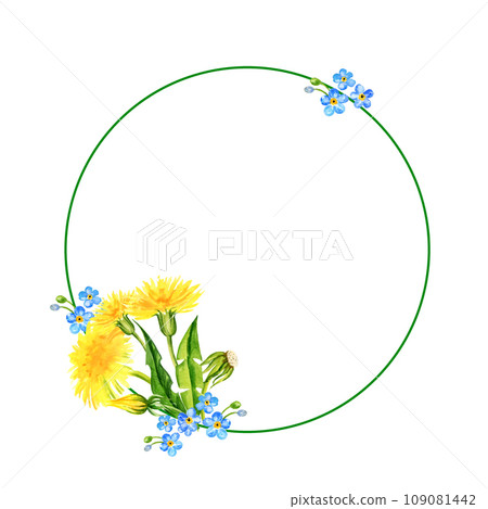 watercolor round frame with summer yellow flowers blow ball, hand draw dandelions, forget me not flowers and leaves, herbs, sketch of spring yellow flowers on white background watercolor round frame with summer yellow flowers blow ball, hand draw dandelions, forget me not flowers and leaves, herbs, sketch of spring yellow flowers on white background 109081442