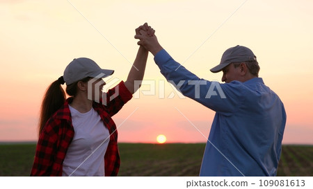 agriculture, agreement making deal handshake, work team team, business handshake silhouette, contract over seller victory agricultural, landscape technology communication growing rural peasant fresh 109081613
