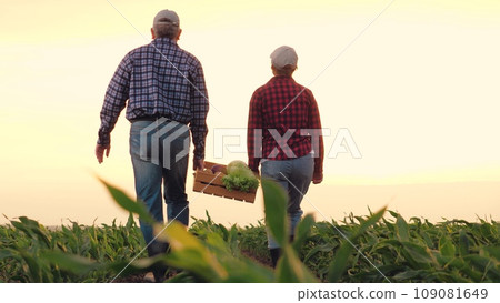 joint family business sun, two farmers carry box vegetables across farm field sunset, farming vegetables box, hand box vegetables, senior portrait sunlight carrying tomato happy home field delivery joint family business sun, two farmers carry box vegetables across farm field sunset, farming vegetables box, hand box vegetables, senior portrait sunlight carrying tomato happy home field delivery 109081649