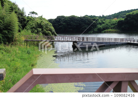 Natural scenery of Lake Satsuma with a bridge 109082416