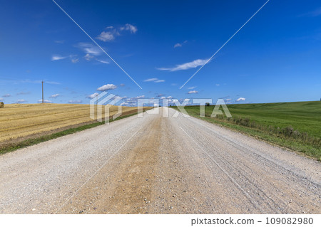 a road through a field with poor infrastructure a road through a field with poor infrastructure 109082980