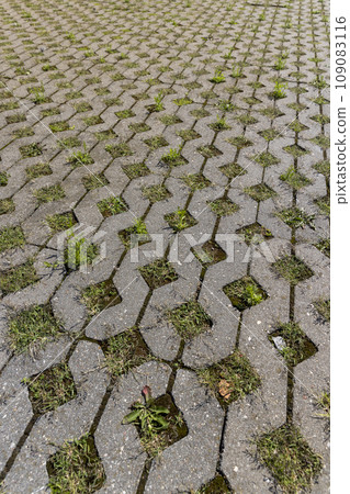 a modern concrete tile that allows plants to grow 109083116