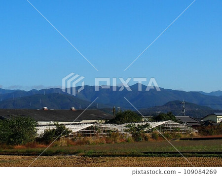Sunny Kacho Plain (rural landscape with the Shikoku Mountains and vinyl greenhouses) 109084269