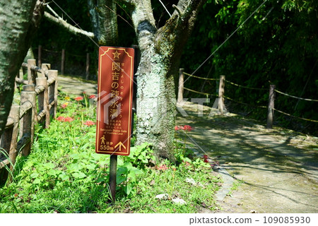 秋天的關吉運河 秋天的關吉運河 109085930