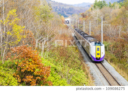 北海道佔冠村的關所線列車穿過秋葉 109086275