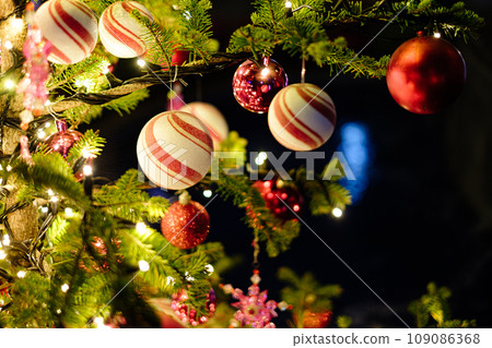 聖誕節圖片 109086368