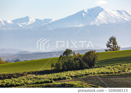 美瑛的清晨風景：大雪山 109086515