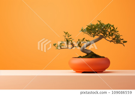 Miniature bonsai tree in a ceramic pot on a background with a copy space.  109086559