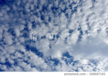The sky with autumn scale clouds The sky with autumn scale clouds 109087185
