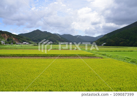 長崎縣五島市白石灣風景（2022年） 109087399