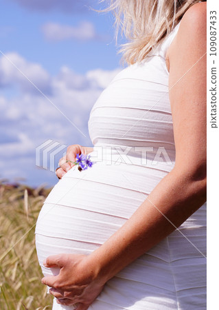 Gentle curvature of expectant mother's abdomen, her hands holding a small, vibrant blue flower. Golden wheat field under the open sky in background, life continuous growth and natural cycles concept 109087433