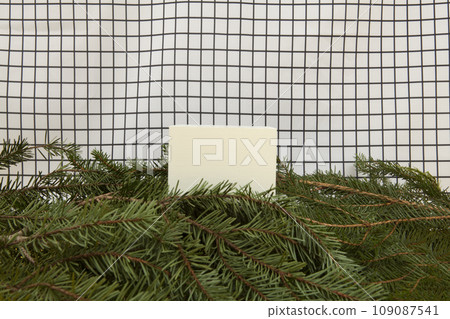 cube among fir branches on a grid background 109087541