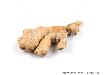 fresh ginger on white background fresh ginger on white background 109087813