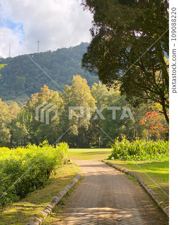 Beautyful green landscape of Handara at sunny day Beautyful green landscape of Handara at sunny day 109088220