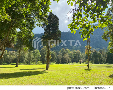 Beautyful green landscape of Handara at sunny day 109088226