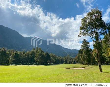 Beautyful green landscape of Handara at sunny day Beautyful green landscape of Handara at sunny day 109088227