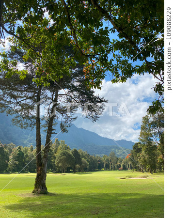 Beautyful green landscape of Handara at sunny day Beautyful green landscape of Handara at sunny day 109088229